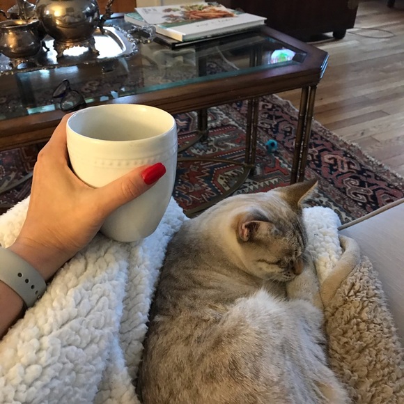 Meet your Posher, Paige - Picture 2 of 2